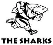 The Sharks &mdash; Photobooth LAB client